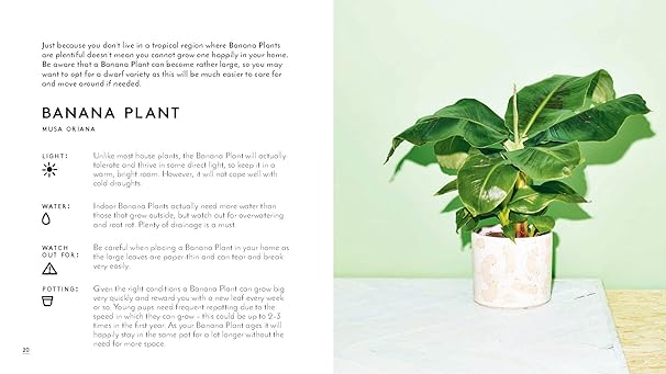 The Little Book of House Plants and Other Greenery