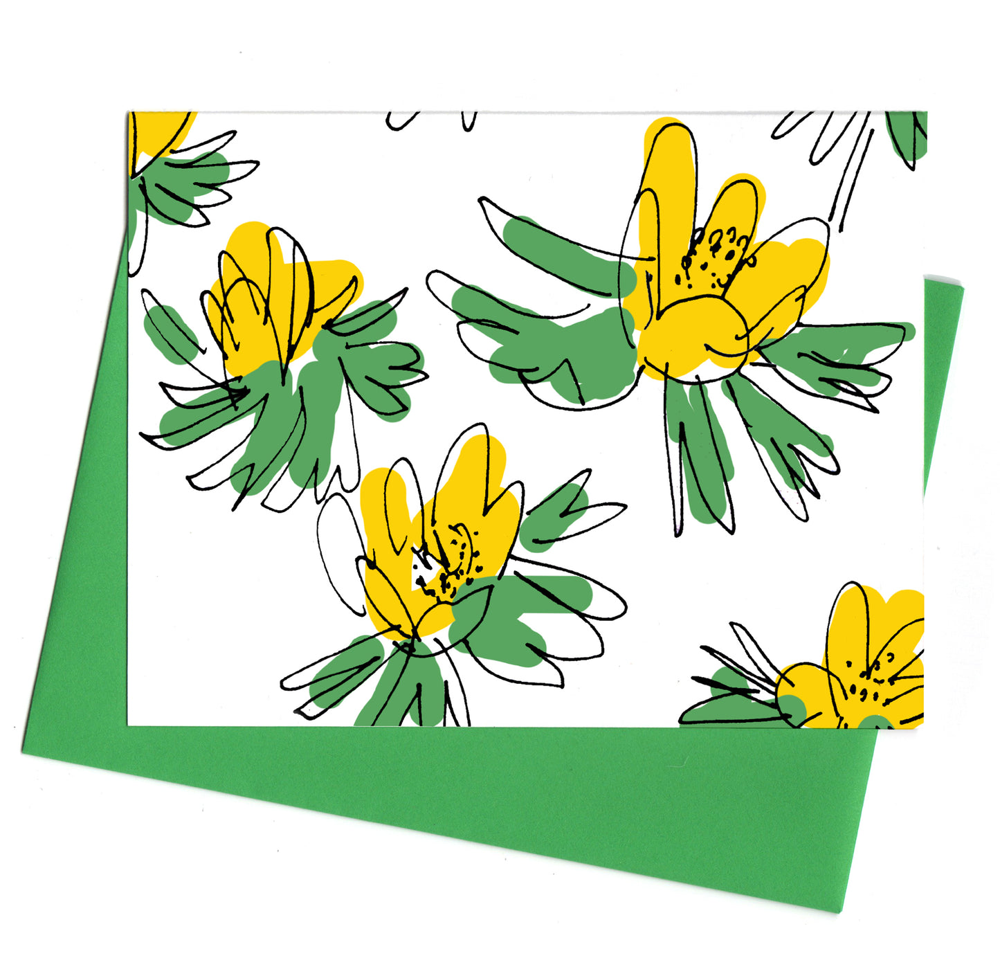 Yellow Aconites